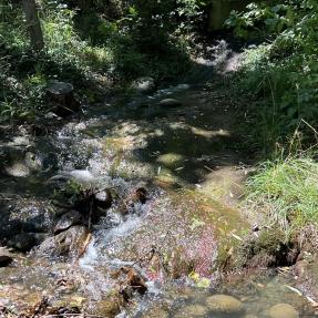 Goose Creek 